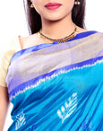 Blue Pochampally Saree